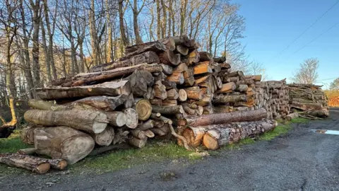 Large bits of cut up timber are sitting stacked in a pile on top of green grass on the outskirts of a forest area. There are trees in the background and a stone area in front of the tree logs.