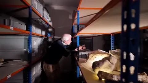 A white haired man in glasses leans over racks of shelving looking carefully at a dinosaur bone from a crate of specimens