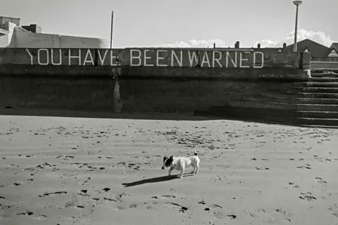 Michael Bennett Dog walking on sand in Towyn