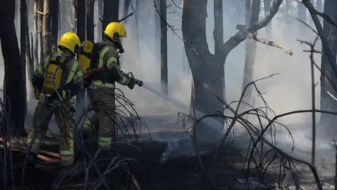 Jamie Niblock/BBC Fire fighters putting out a fire with hoses at Kelling Heath. There is smoke in the surrounding air and charred woodland.