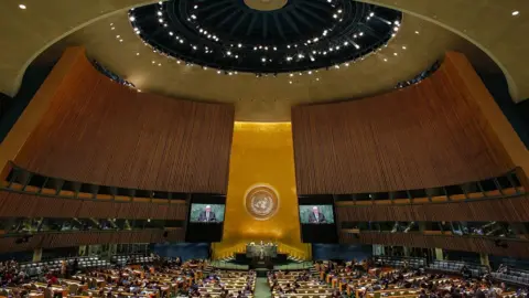 Getty Images The United Nations General Assembly in New York