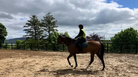 Spirit Dancer being ridden around a paddock on a sunny day. A woman, Rachel Carton, is on his back wearing a helmet, a high-viz vest and a riding gear. Trees line the wooden paddock fence. There are mountains in the distance and the see is partially visible.
