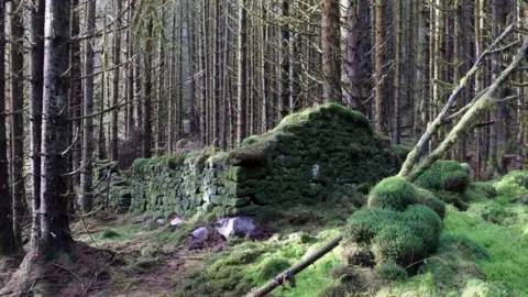 Forestry and Land Scotland Wee Bruach Caoruinn