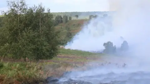 Staffordshire Fire and Rescue Service Smoke rises from smouldering heathland after a wildfire broke out at the site. Large trees are standing on the left and the heathland stretches out into the distance.