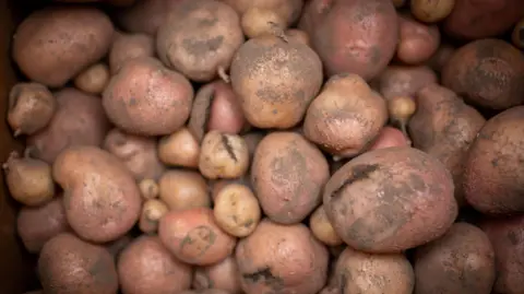 PA Media A large pile of muddy potatoes.