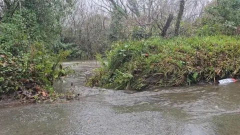 Water is flowing along a road, there is a grassy bank in the middle with water flowing on the other side as well.