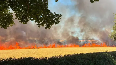 Massive wildfire on yellow fields with black smoke rising into the air. The sky is blue. 