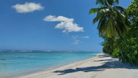 A beach in Agalega with white sand and blue sky, fringed by palm trees