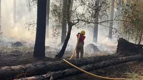 A firefighter with a large yellow hose over the shoulder. There is smoke rising from the ground and a number of charred trees in view.
