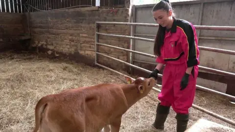 Woman with baby cow