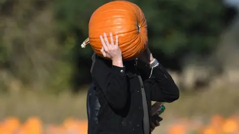 PA A person carrying a pumpkin