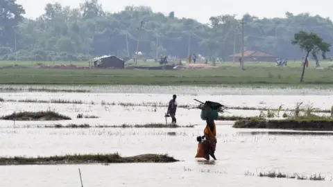 AFP Flooded fields outside Kathmandu, Nepal (17 Aug 2017)