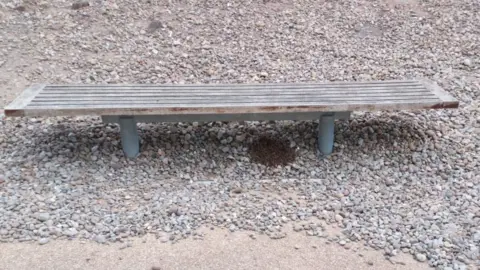 ABP The bees under the bench