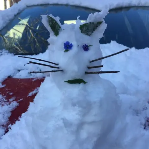 Sarah Brown A snow cat in Leeds