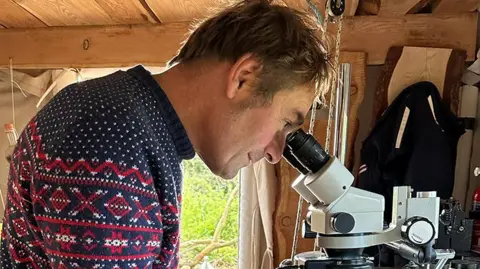 Deb Roberts Bart Sabel looks through a microscope inside The Gingerbread House. The picture is a side view of Mr Sabel and he's wearing a navy and red woollen jumper.