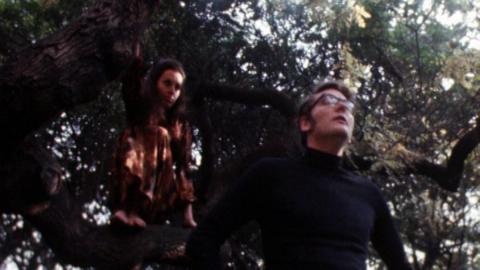 Woman sits on large tree branch behind man wearing glasses and black polo neck top.  