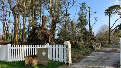 The garden's entrance has a sign reading TREWITHEN with a trefoil logo on it. There is a white picket fence and open gateway. Behind this is a huge root ball of a fallen tree, a stump and a pile of fallen branches.