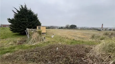 A fallow field surrounded by bracken, trees and an old temporary building.