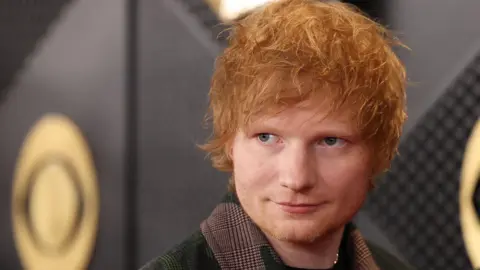 Reuters Ed Sheeran poses on the red carpet of the Grammy Awards in February 2024