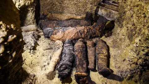 AFP The mummies found in Minya