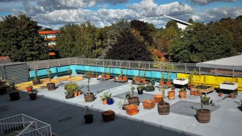 Tŷ Pawb Rooftop garden