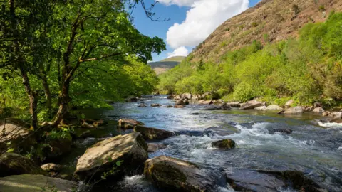 Getty Images River flowing through countryside with boulders either side and mountains rising up to the right, trees to the left