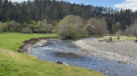 A general view of the stretch of River Elwy. Grass sits beside the flowing river. Beside the river is a dry channel. In the background there are trees and woodland area. 