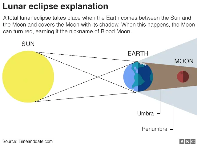 Infographic