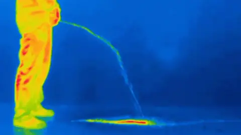 Science Photo Library Thermal image of man urinating