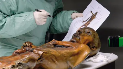 Mosses Expand the Story of Ötzi the Iceman's Final Journey
