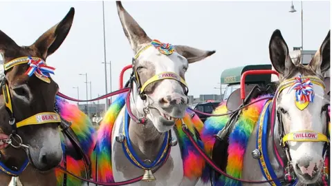 BBC Blackpool donkeys