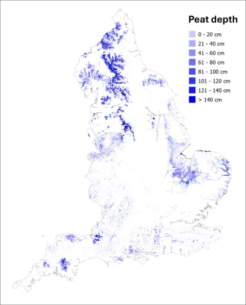 Natural England A map of England which shows where peatlands are across the county. The areas where they are located are shown by different shades of blue. There is a key on the top right of the map which says peat depth. 