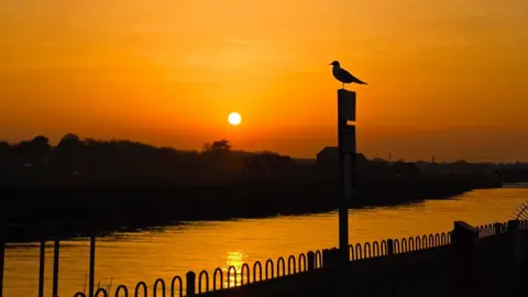 whethertheweatherbefine/BBC Weather Watchers A sunset with glowing orange sky. In the front is the silhouette of a bird standing on a pole. 