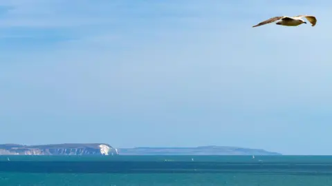 Riki61 The coast of the Isle of Wight in the distance on a clear day, a pigeon in the foreground.