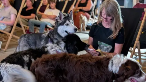 Charlotte Gurney Three dogs near a woman who is sitting on a deckchair in an old grain barn which was transformed into a city for one night.