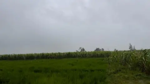 Anshul Verma Lakhimpur rape-murder case