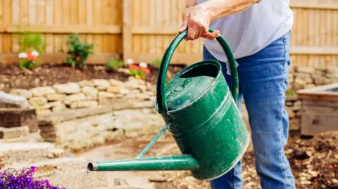 Getty Images A person holding a watering can and watering some plants in their garden.
