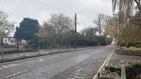 BBC A shot of Station Road in Antrim, the road is covered in leaves and there is a 
footpath with metal barriers on either side.