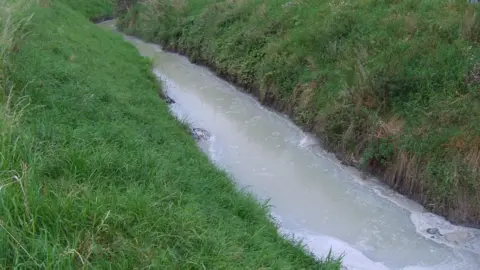 Environment Agency Polluted brook