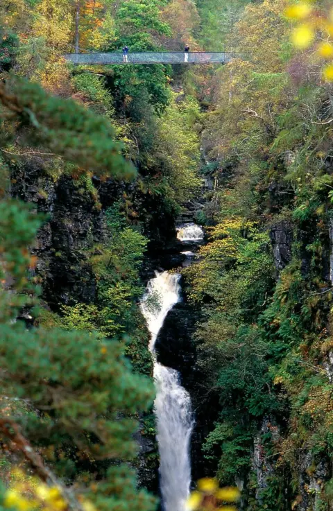 Will Copestake Media The gorge is known for its biodiversity; having a diverse range of native trees including hazel, rowan and birch.