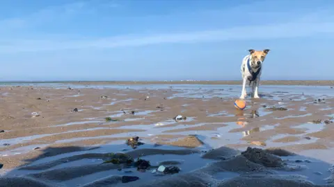 Barberella Musselburgh