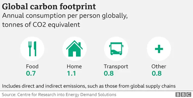 Global carbon footprint infographic