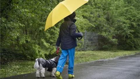 Elva Etienne / Getty Images dog walker in rain with yellow umbrella