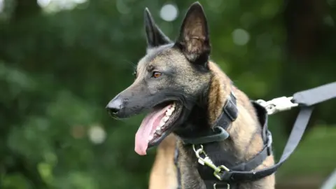 Nottinghamshire Police Rocket