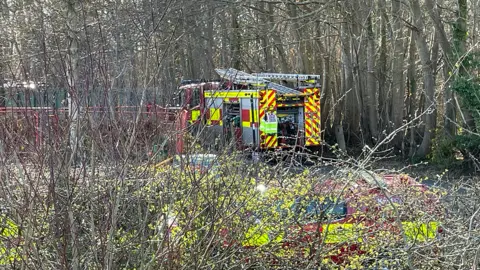 A fire engine is seen through low trees with other obscured vehicles also visible. The tree branches are quite bare with some green leaves starting to shoot and there are trees in the background as well.