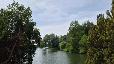 BBC Weather Watchers Trees surrounding a body of water