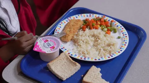 A child holding a fork eats her lunch. She has long black hair but her face is not in shot. On a blue tray sits a slice of bread, a raspberry yoghurt. There is a plate with white rice, mixed veg and a breaded piece of meat. 