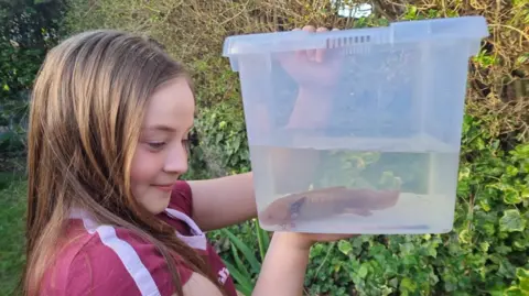 Melanie Hill Evie holding the axolotl in a container filled with water