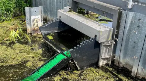 Phil Brewin The picture shows one of the passes installed in the rhynes and ditches of Somerset. It shows a green ramp in deep water