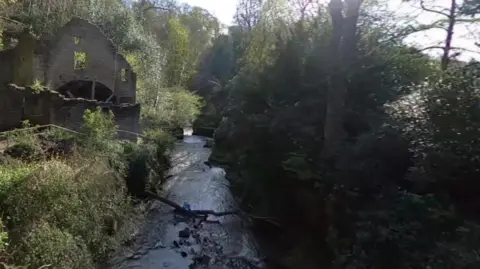 An image of the Ouseburn, a small river with a derelict house to one side and trees on either side.